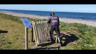 Vildthegn omkring nyplanteringer for Naturstyrelsen Thy | Poda Hegn
