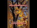 Ammamma Saranam Saranam Karaoke Cover By Ramamoorthy 60 Voice Of 20