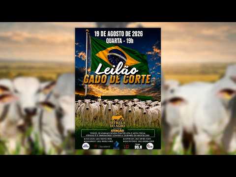 LEILÃO GADO DE CORTE ESTRELA DO AGRO LEILÕES  FAINA-GO 19/08/2026 | Leilão ao Vivo - Leilão de Gado