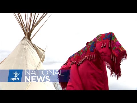 Calgary MMIW advocates denounce removal of red dresses | APTN News