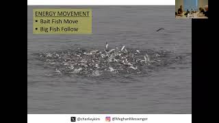 Thumbnail for 🎣 The Tide Metaphor: Why Energy Movement Creates Breakthrough Moments