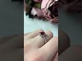 Серебряные серьги с гранатом 4.93ct