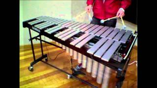 Vibraphone Techniques