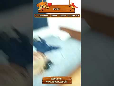 Vídeo de Melão