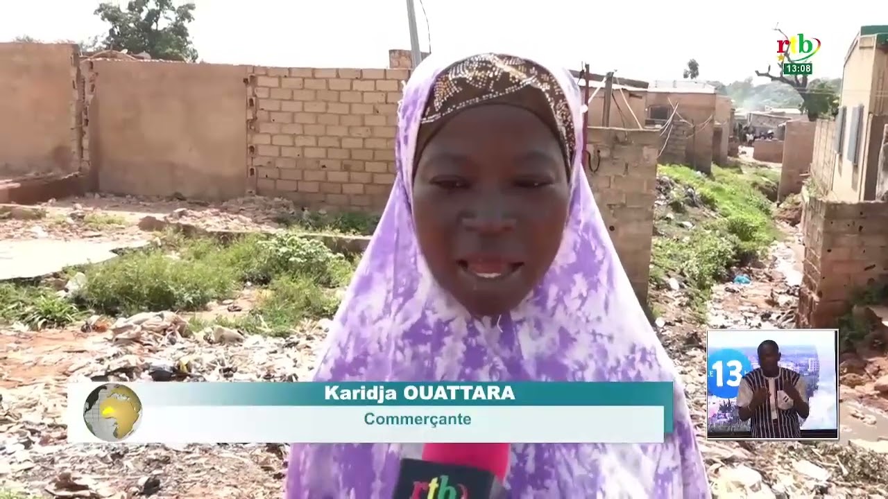 Dossier sur la lutte Anti-Vectorielle à Bobo-Dioulasso