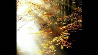 Tangerine Dream-The anthology decades 2008-Exit To Heaven