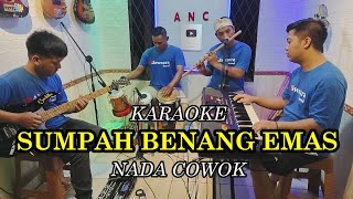 Download lagu SUMPAH BENANG EMAS KARAOKE ELVY SUKAESIH NADA COWOK mp3