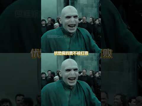 我上哪兒找又看鬼滅又看哈利波特的人啊...#鬼滅之刃#哈利波特#內容過于真實 #意想不到的結局