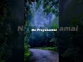 Mandara Mandara Yt Latest Trending Shot Videos Yt Popular Shot Videos Yt Shot Videos
