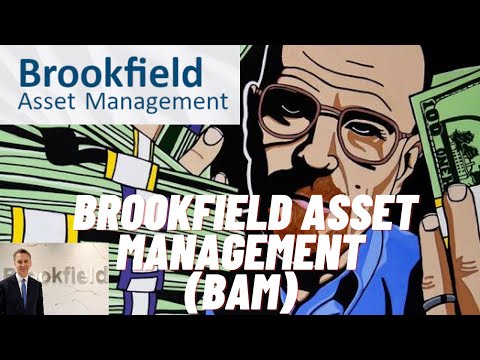 BROOKFIELD ASSET MANAGEMENT | VISÃO GERAL DO NEGÓCIO