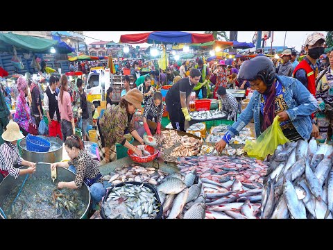 Fish &Seafood Early Morning Market @Chhbar Ampov Vs Fish & Seafood Early Morning Market @Prek Phnov