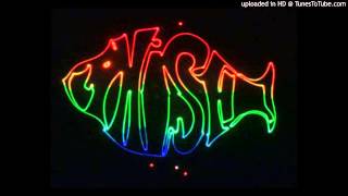 Phish - Horn - 08/16/1993 - St. Louis, MO