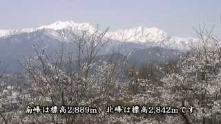 preview picture of video '長野県　大町公園の桜と北アルプス連峰 [HD]'