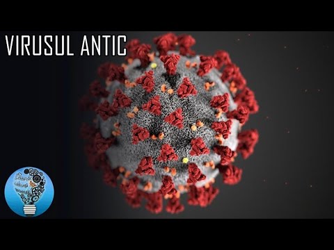 condilom rect genital papilloma virus si puo rimanere incinta
