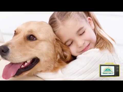 Rreze Dielli, 13 shtator 2018 - Të ftuar në studio Kornelia Kokona & Arbër Tërvoli