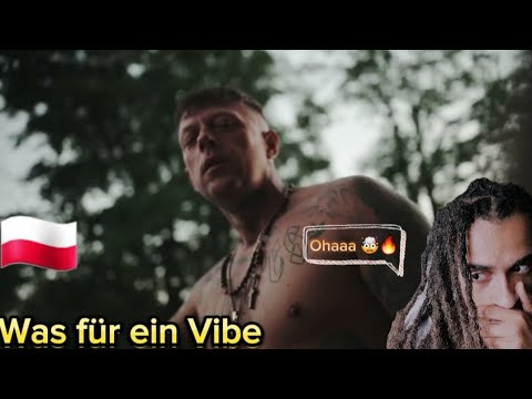 KORWIN P56 x DUDEK P56 - POLA STRESS |🔥REACTION🔥|