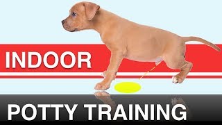 How to Indoor Potty Train your Dog with the Potty Training Puppy Apartment