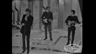 Herman&#39;s Hermits - There&#39;s A Kind Of Hush (1967)