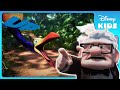 Mr Frederickson S Wild Journey Up Disney Kids