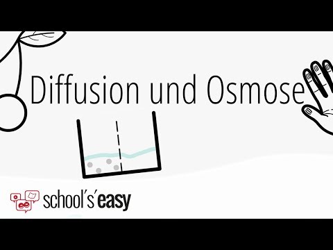 Diffusion und Osmose - Wie geht's?