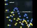 Nada Surf - Bad Best Friend