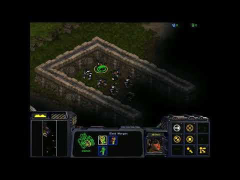 StarCraft: Insurrection Remastered 09 - The Council Steadfast