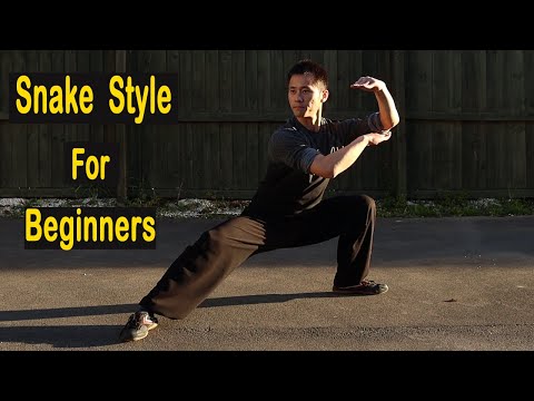 Shaolin Kung Fu Wushu Snake Style Basic Training For Beginners