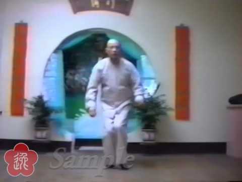 Preview: Moy Yat - Look Of A Kick