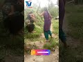 Village Women Fight Shorts Shortsvideo Village