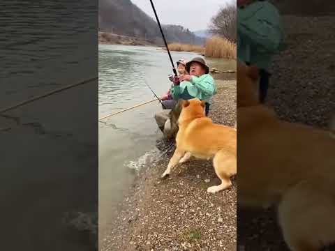 낚시하는데 강아지가 개구리잡아옴 ㅋㅋㅋㅋㅋ
