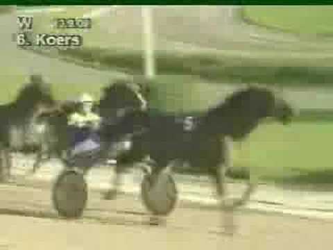 Quampo Mondo SY - Arnold Mollema, Frisian Ascot Day Wolvega