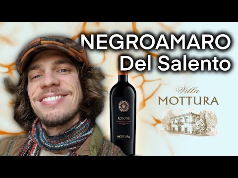 NEGROAMARO DEL SALENTO🍷 che BOMBA⚠️🔥