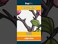 blossoming - 开花 video thumbnail
