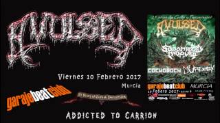 Avulsed - Addicted to Carrion (live Sala Garaje Beat Club, 10-02-2017)