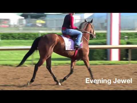 Kentucky Oaks 2010, Thursday, Apr. 29