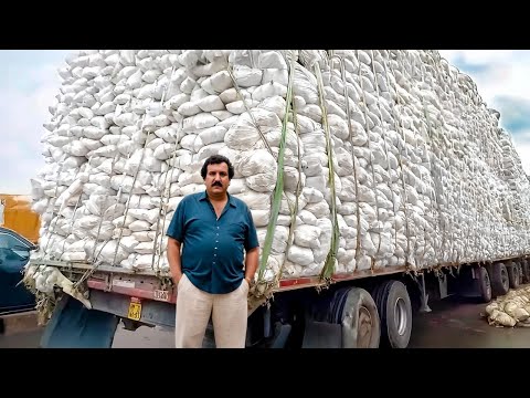15 Craziest Things Pablo Escobar Did – You Won’t Believe It!