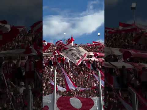 "¡SE CAE EL ESTADIO! Los cánticos de ESTUDIANTES en Argentina. El Campeón tiene aguante " Barra: Los Leales &bull; Club: Estudiantes de La Plata