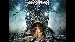The Vault Reviews #38: Borknagar - Winter Thrice 2016