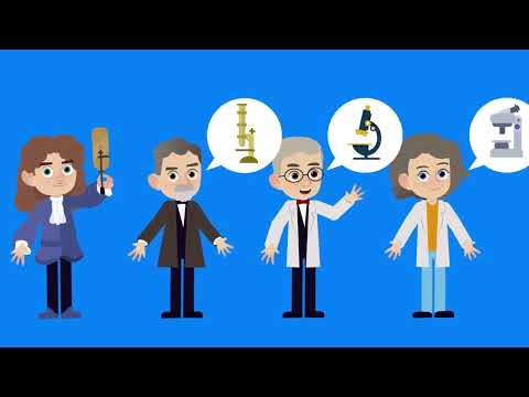 What are microorganisms  Bacteria, Viruses and Fungi