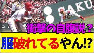 【速報】【衝撃】広島カープ大盛のユニフォームがビリビリに！？ネットの嘘とプロ野球用具のヤバすぎる裏事情【ネットの反応】