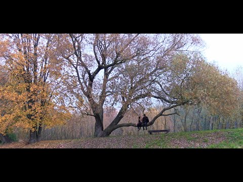 Dušan Janeček - hudba srdcom - Dušan Janeček a Tereza Jechová - Jeseň / Podzim