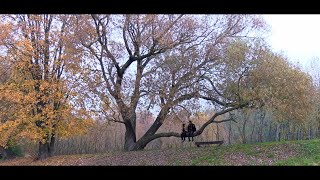 Video Dušan Janeček a Tereza Jechová - Jeseň / Podzim