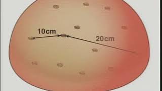 Alex Filippenko -  Exploding Stars and the Accelerating Universe