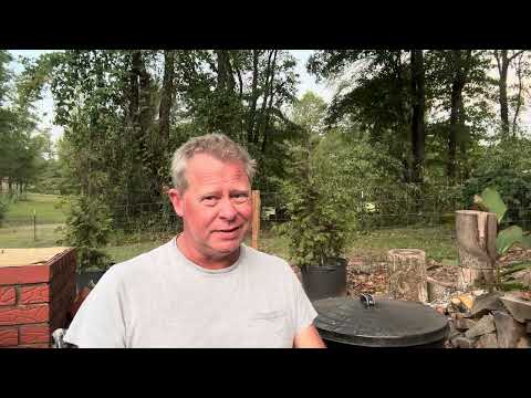 New Jabs for everyone! #vaccination #cdc #government