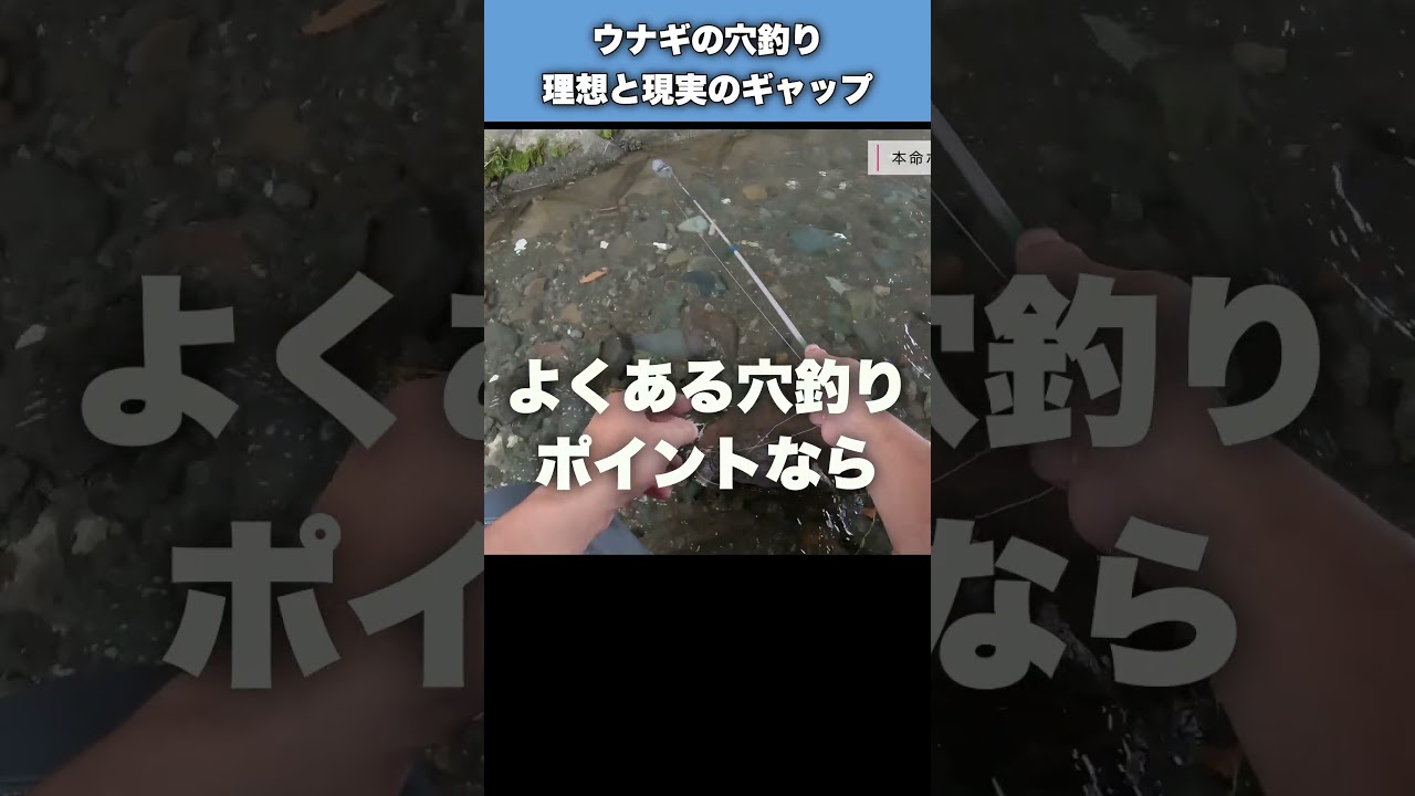 ウナギの穴釣り理想と現実のギャップが辛すぎる