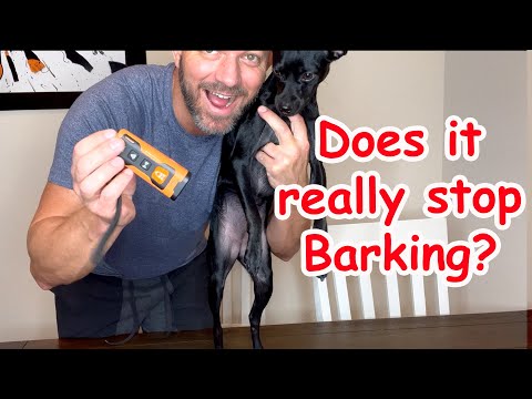Dog Bark Deterrent Device - Easy Way to Stop Excessive Barking!