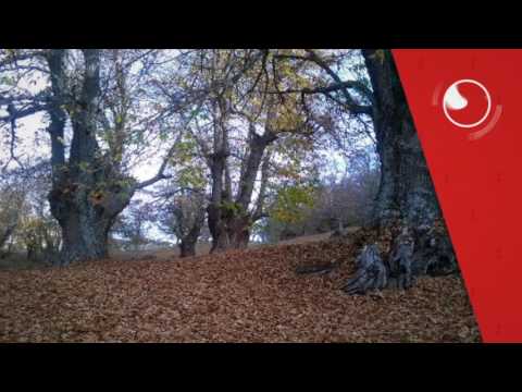 Neilarural, Neila de San Miguel