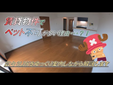 アパート用犬23匹
