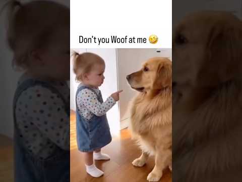 Don't you Woof at me🤣