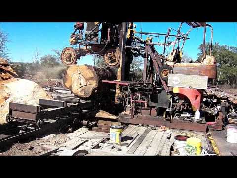 LIVE OAK FOR GALLEON SAN SALVADOR